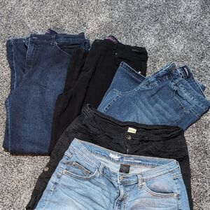 Denim and Black Jeans And Shorts Bundle Size 10